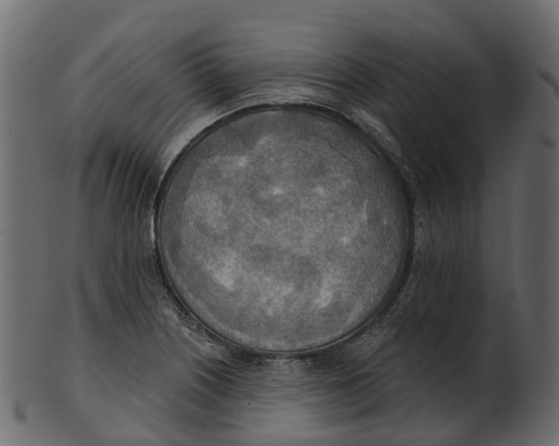 X0000100471226200807031820