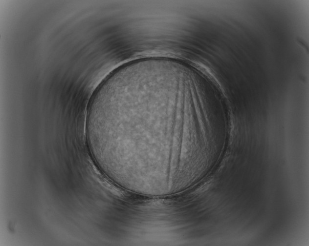 X0000100471228200807031820