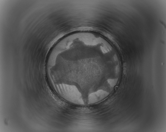 X0000100471229200807031820