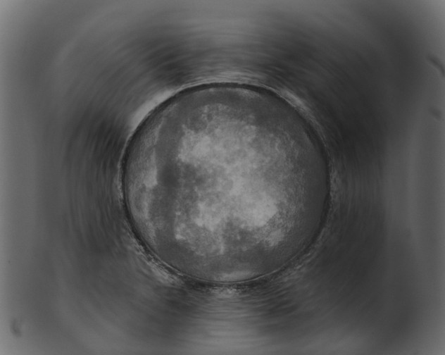 X0000100471230200807031820