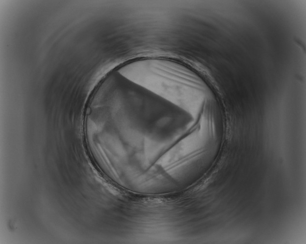 X0000100471231200807031820