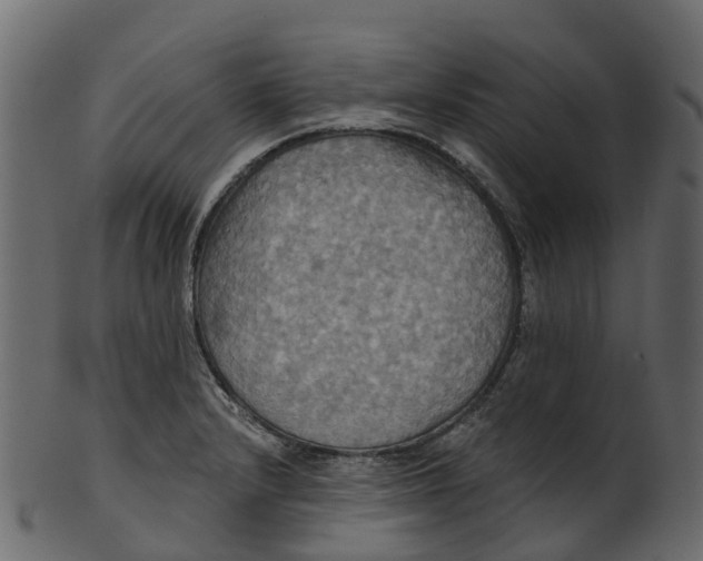 X0000100471232200807031820