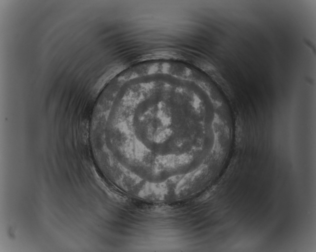 X0000100471233200807031820