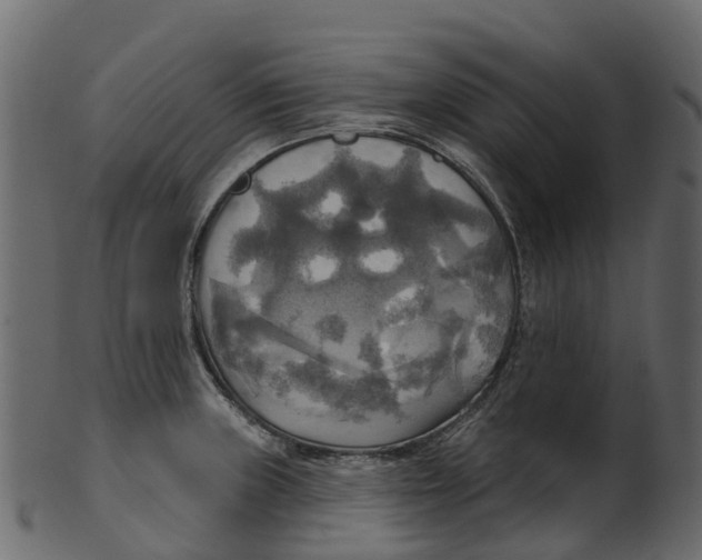 X0000100471235200807031820