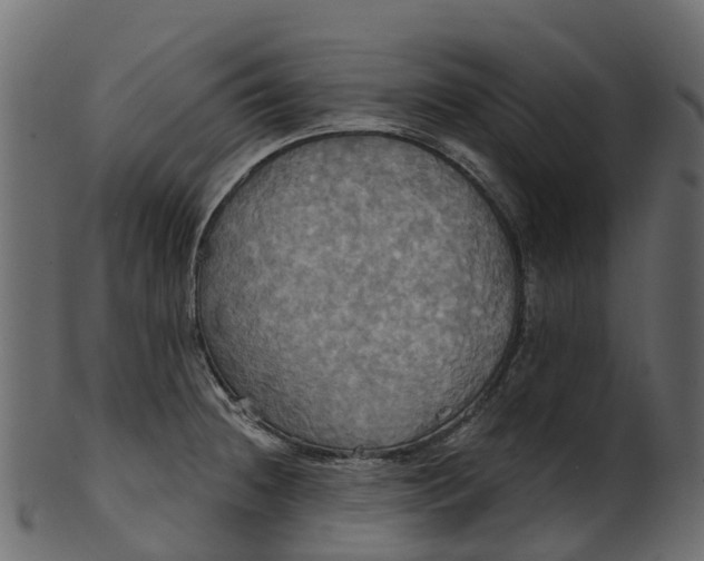 X0000100471236200807031820