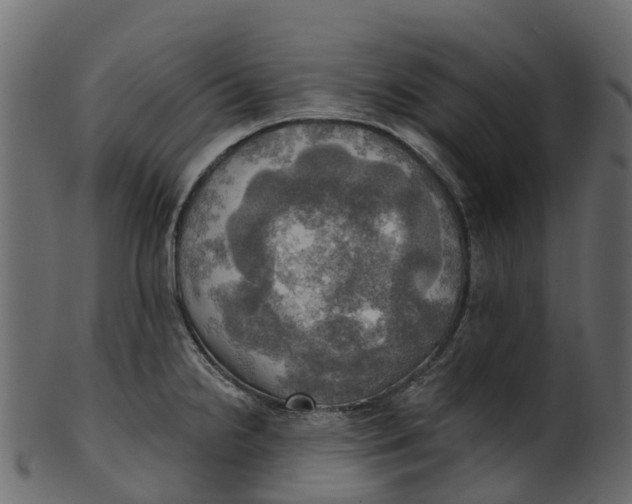 X0000100471238200807031820