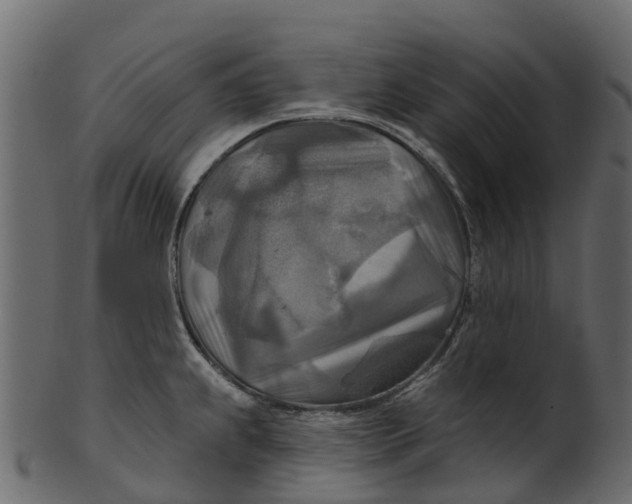 X0000100471239200807031820