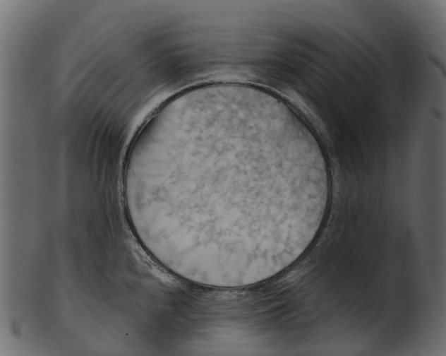 X0000100471240200807031820