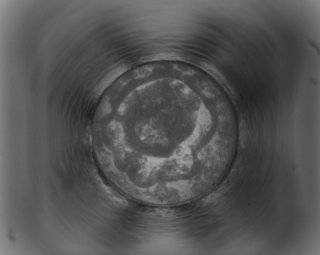 X0000100471241200807031820