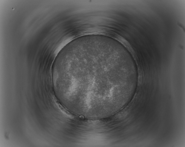 X0000100471242200807031820