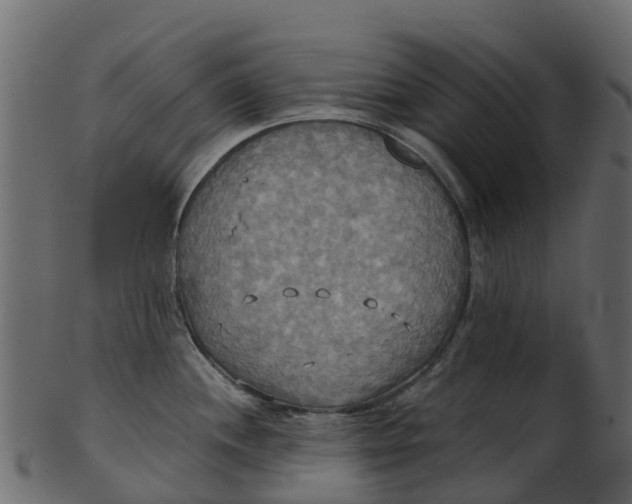 X0000100471244200807031820