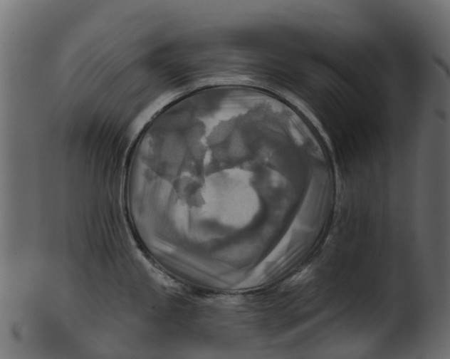 X0000100471245200807031820