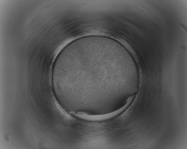 X0000100471246200807031820