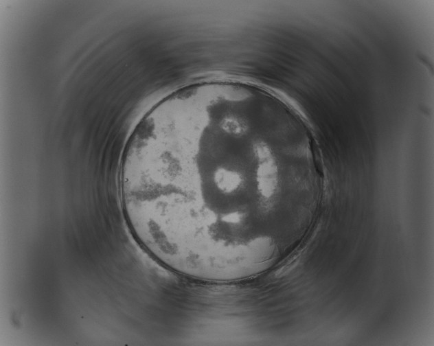 X0000100471247200807031820