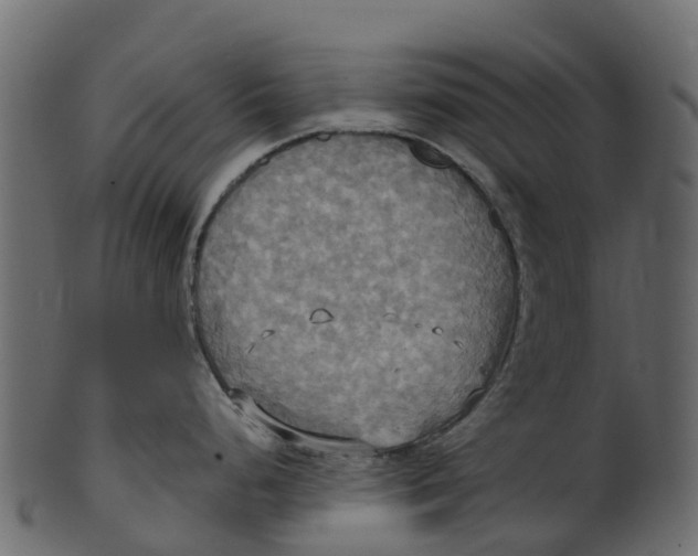 X0000100471248200807031820