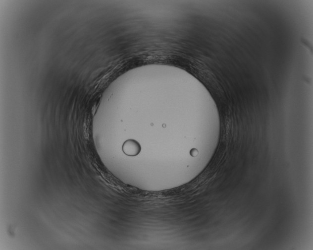 X0000100471250200807031819