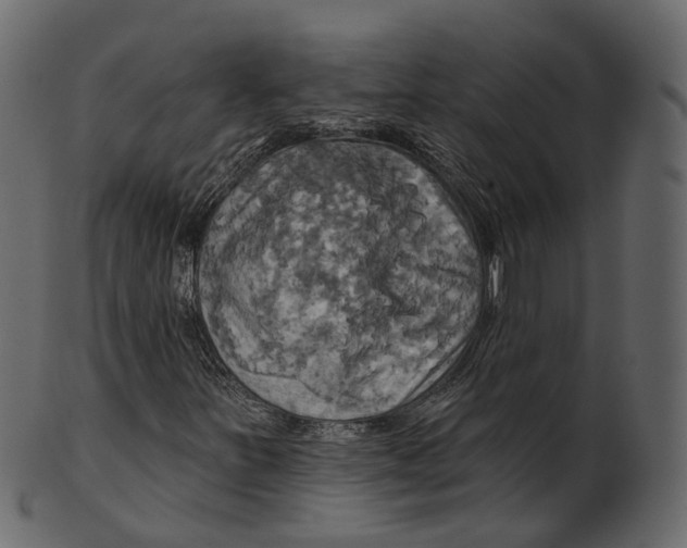 X0000100471251200807031819