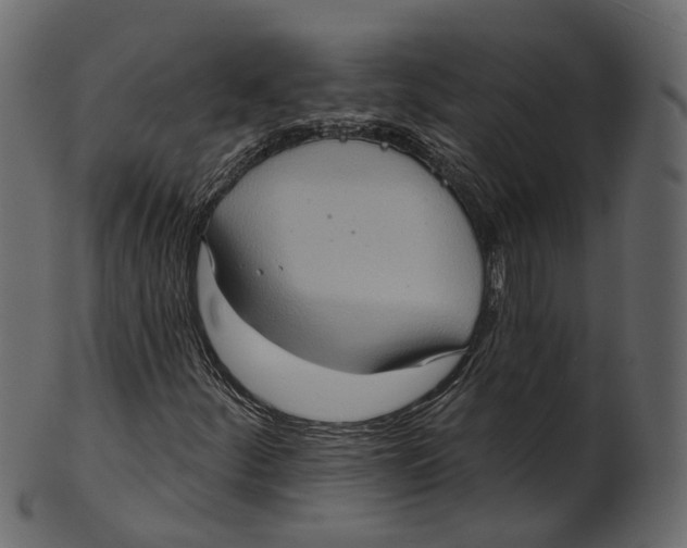 X0000100471252200807031819