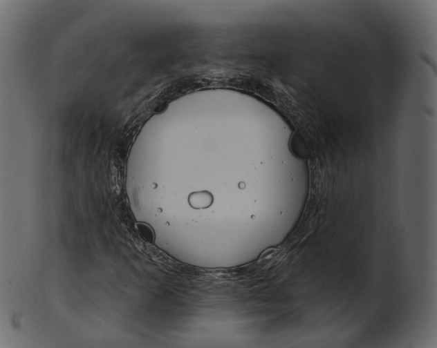 X0000100471253200807031819