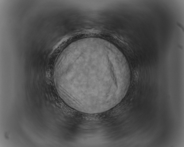 X0000100471254200807031819