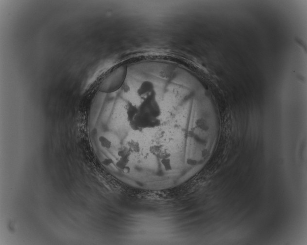 X0000100471255200807031819