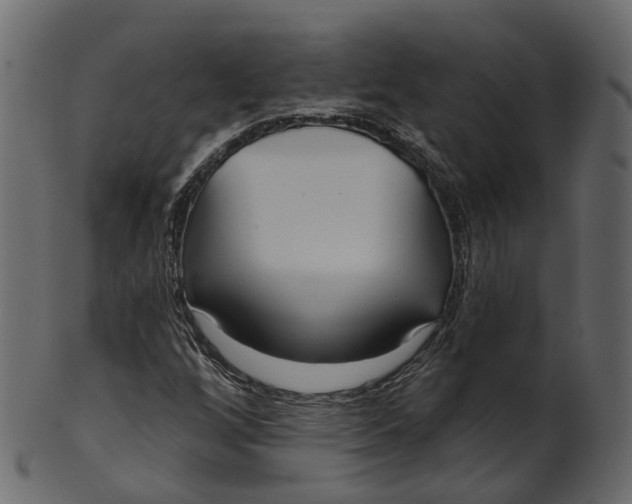 X0000100471256200807031819