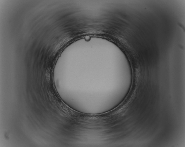 X0000100471257200807031819