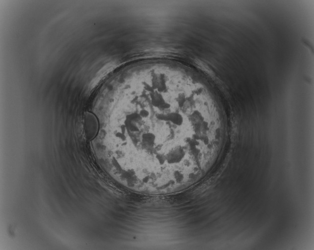 X0000100471259200807031819