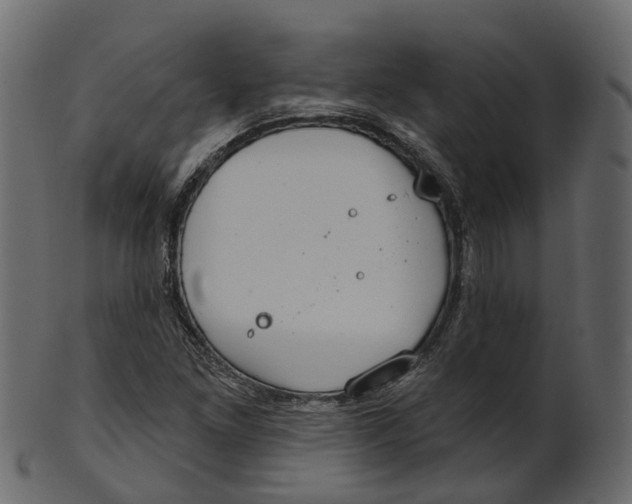 X0000100471261200807031819