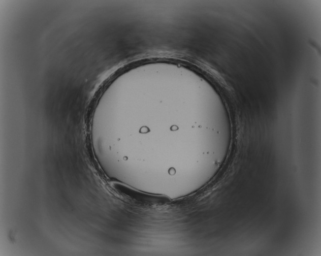 X0000100471264200807031819