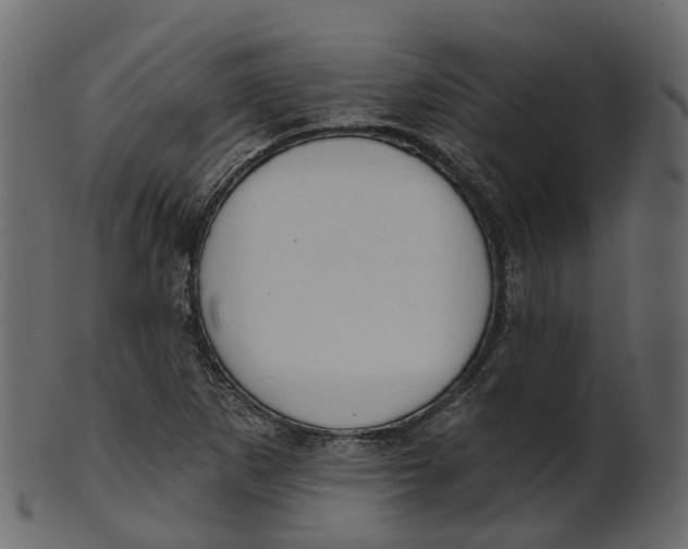 X0000100471265200807031819