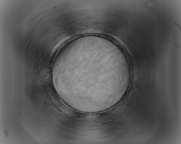 X0000100471266200807031819