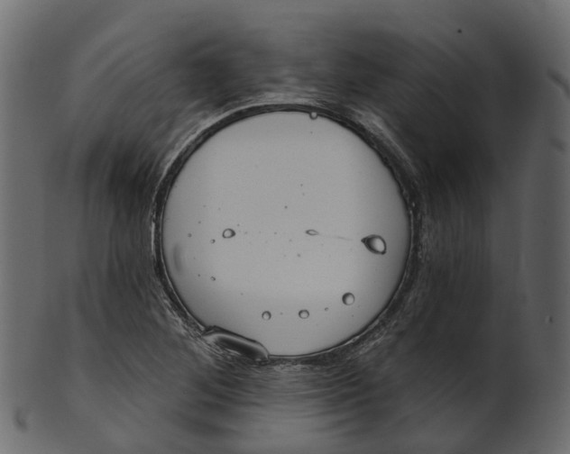 X0000100471268200807031819