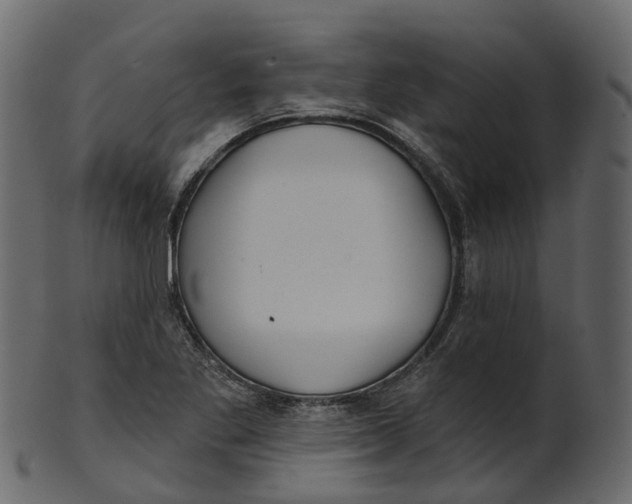 X0000100471269200807031819