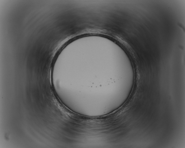 X0000100471272200807031819