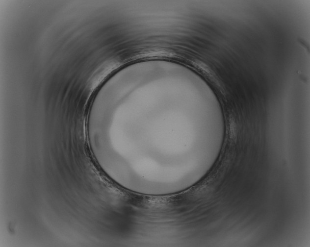 X0000100471274200807031819