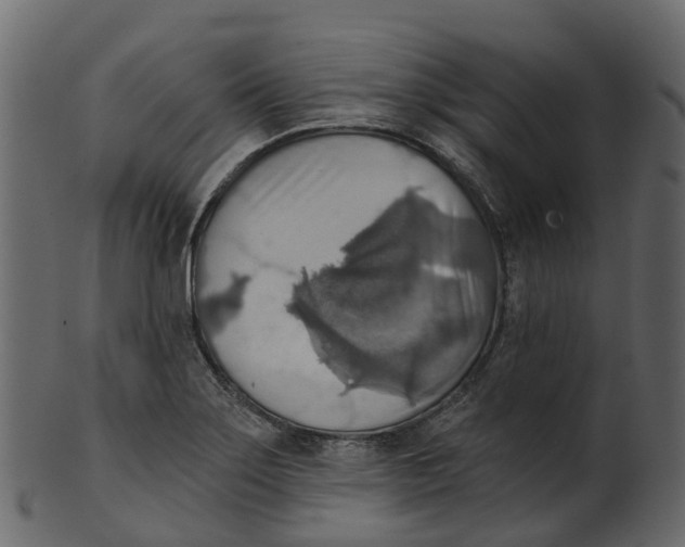 X0000100471275200807031819