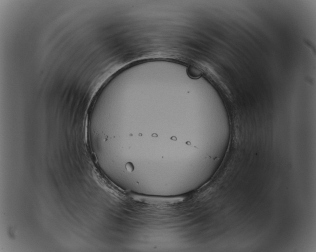 X0000100471276200807031819