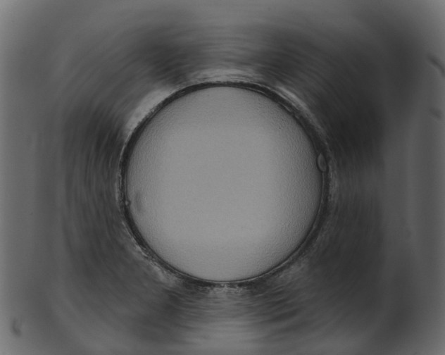 X0000100471277200807031819