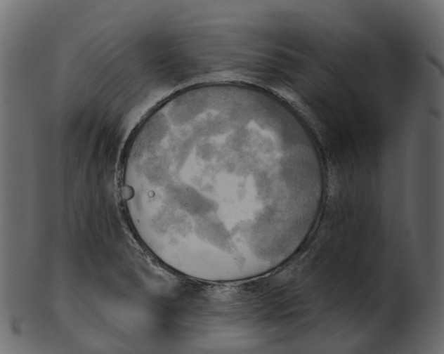 X0000100471278200807031819