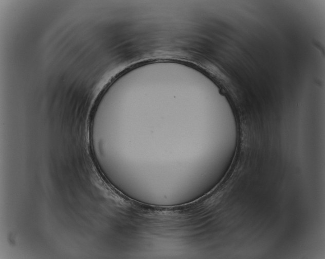 X0000100471280200807031819