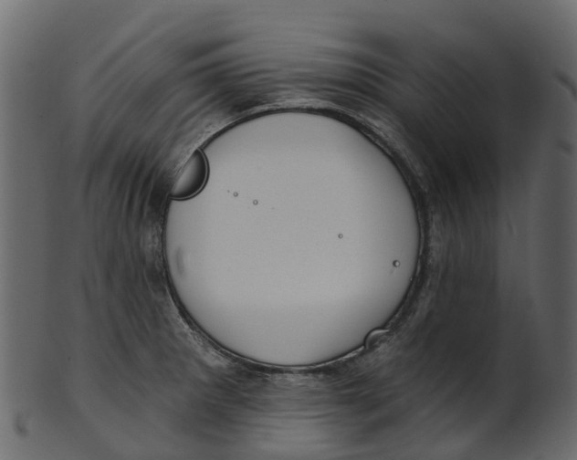 X0000100471281200807031819