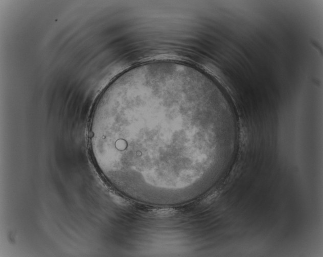 X0000100471282200807031819