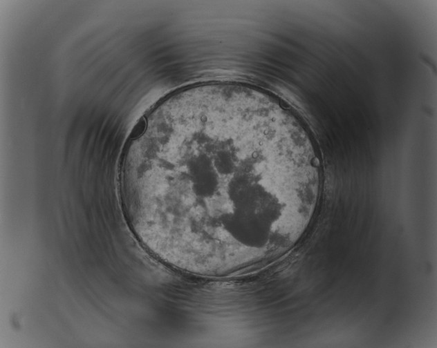 X0000100471283200807031819