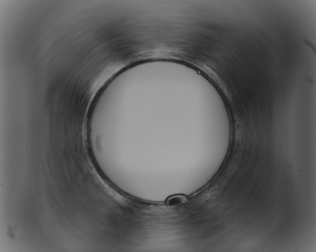 X0000100471285200807031819