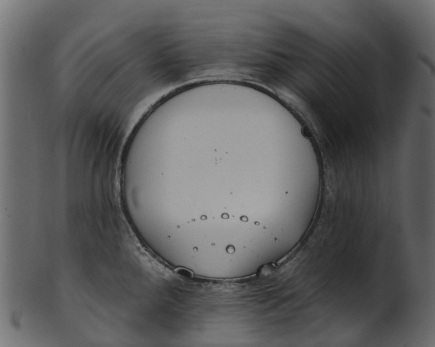 X0000100471288200807031819