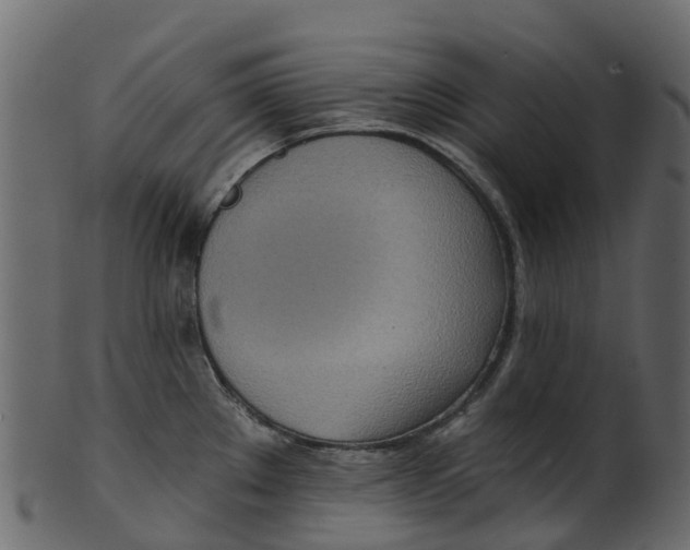 X0000100471289200807031819