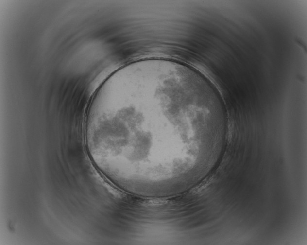 X0000100471290200807031819