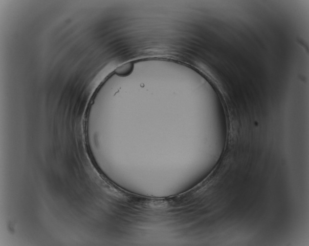 X0000100471291200807031819