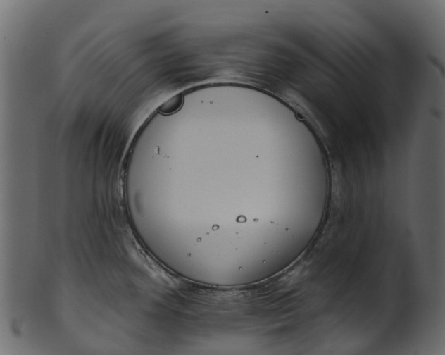 X0000100471292200807031819